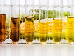 Reverse osmosis (RO)